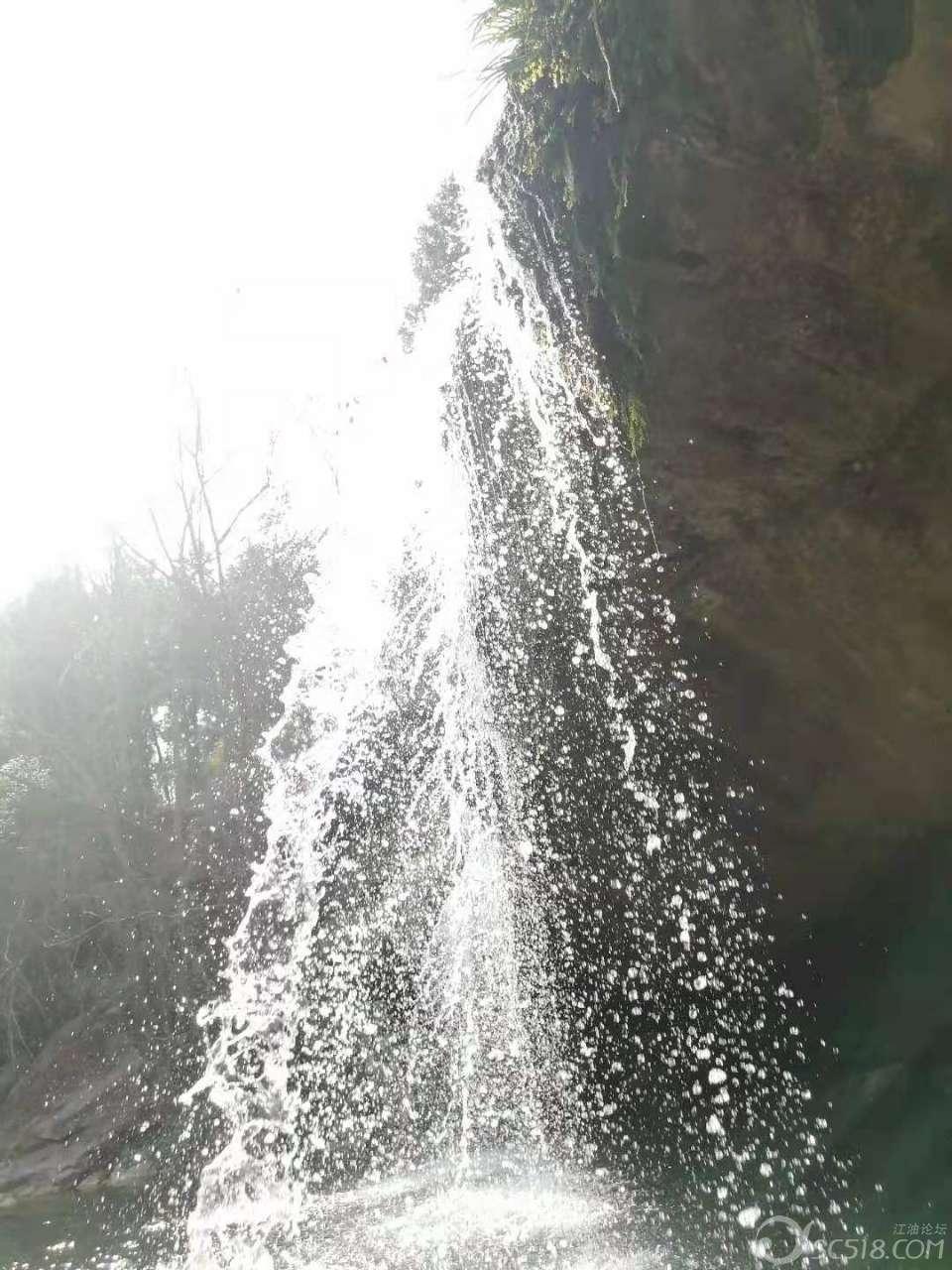 僵尸辨色球